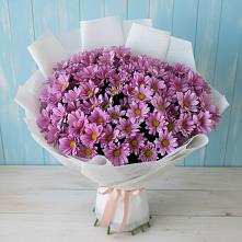 Букет цветов из:  Хризантемы в Комсомольский Республики Дагестан
