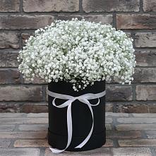 Цветочная композиция из Гипсофила в шляпной коробке в Комсомольский Республики Дагестан