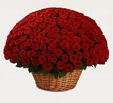 Премиум букет из: Розы в Комсомольский Республики Дагестан